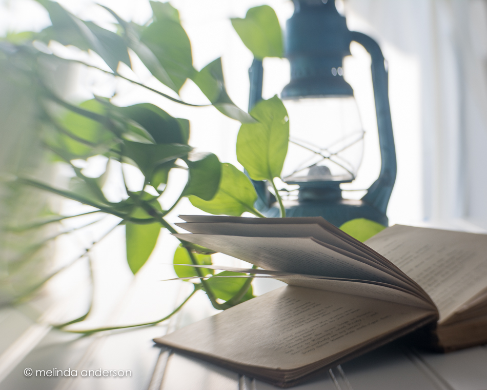 20150413-MMA_3187_melinda_anderson