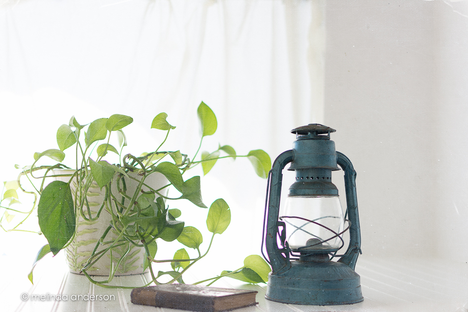 20150413-MMA_3213_melinda_anderson-Edit