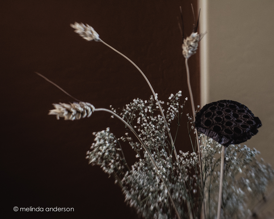 20150420-MMA_3348_melinda_anderson