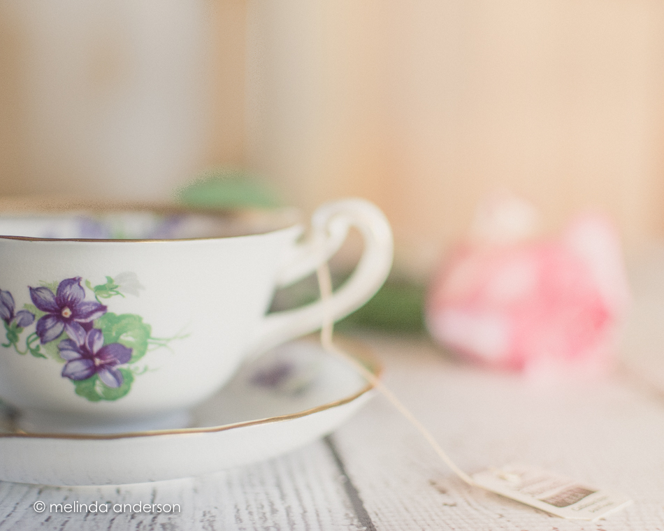 20150427-MMA_4398_melinda_anderson