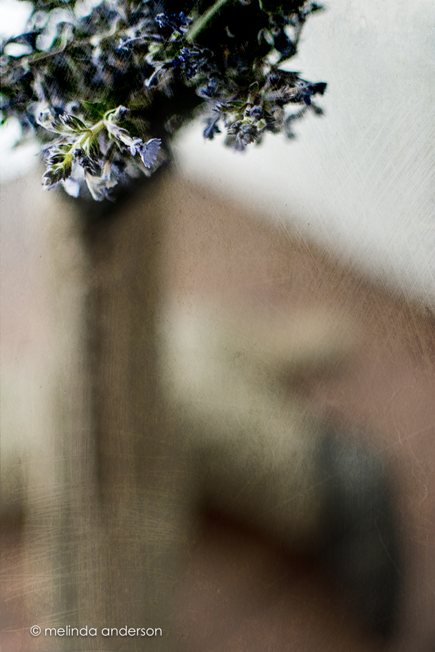 20150504-MMA_4526_melinda_anderson-Edit