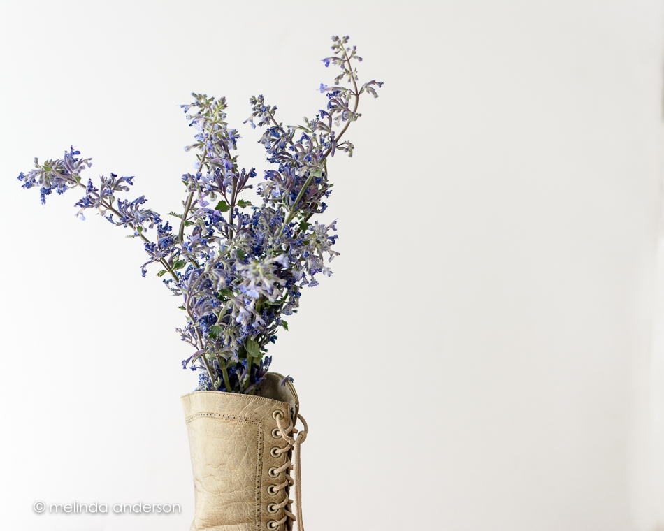 20150504-MMA_4547_melinda_anderson