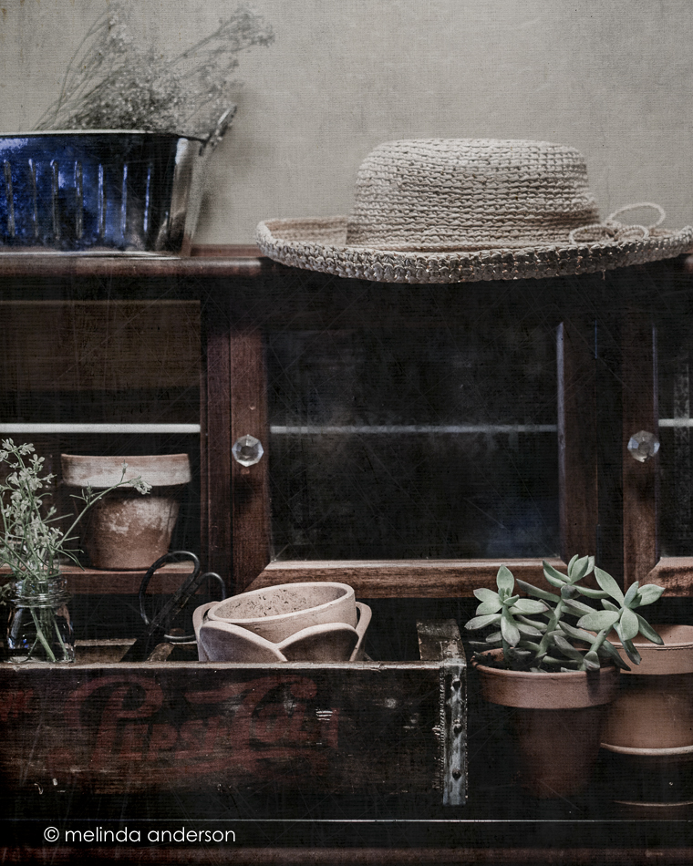 20150504-MMA_4640_melinda_anderson-Edit