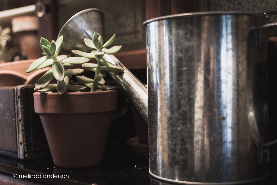 20150505-MMA_4648_melinda_anderson