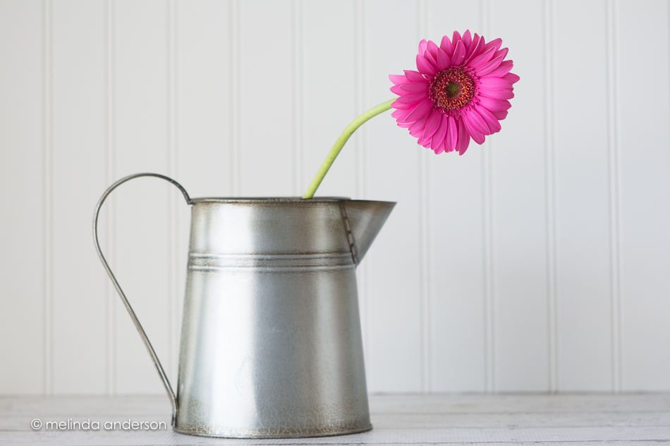 20150507-MMA_4808_melinda_anderson