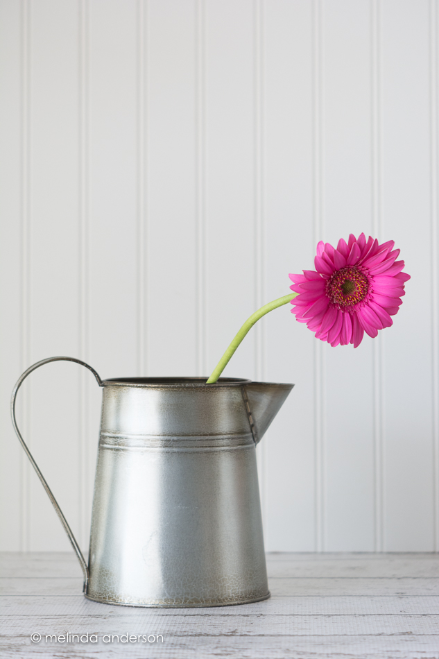 20150507-MMA_4809_melinda_anderson