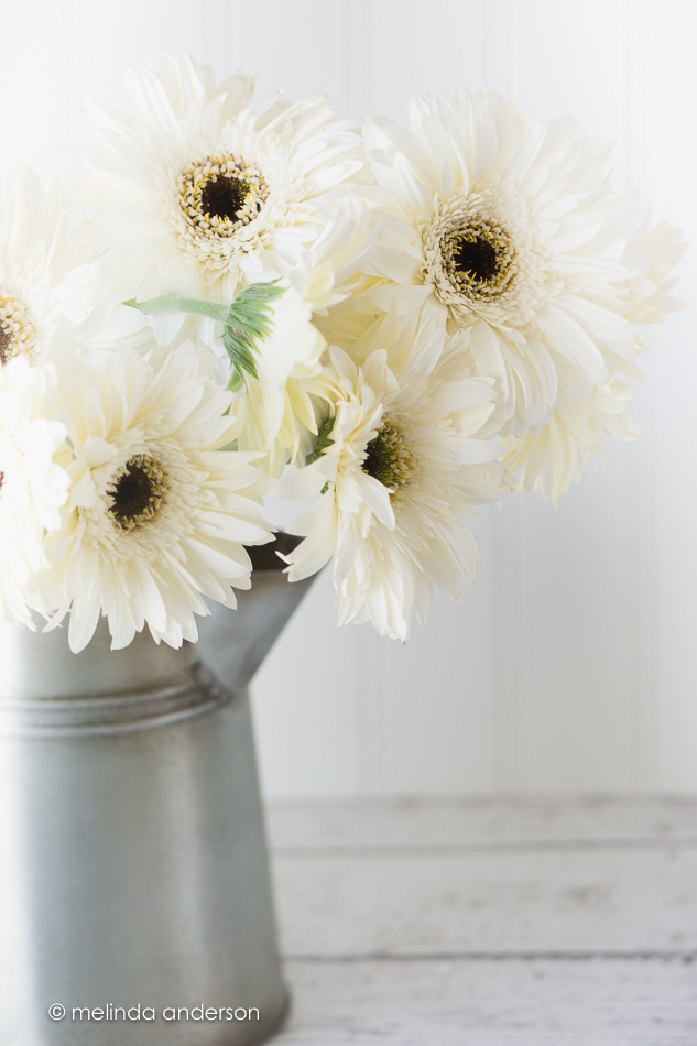 20150507-MMA_4812_melinda_anderson