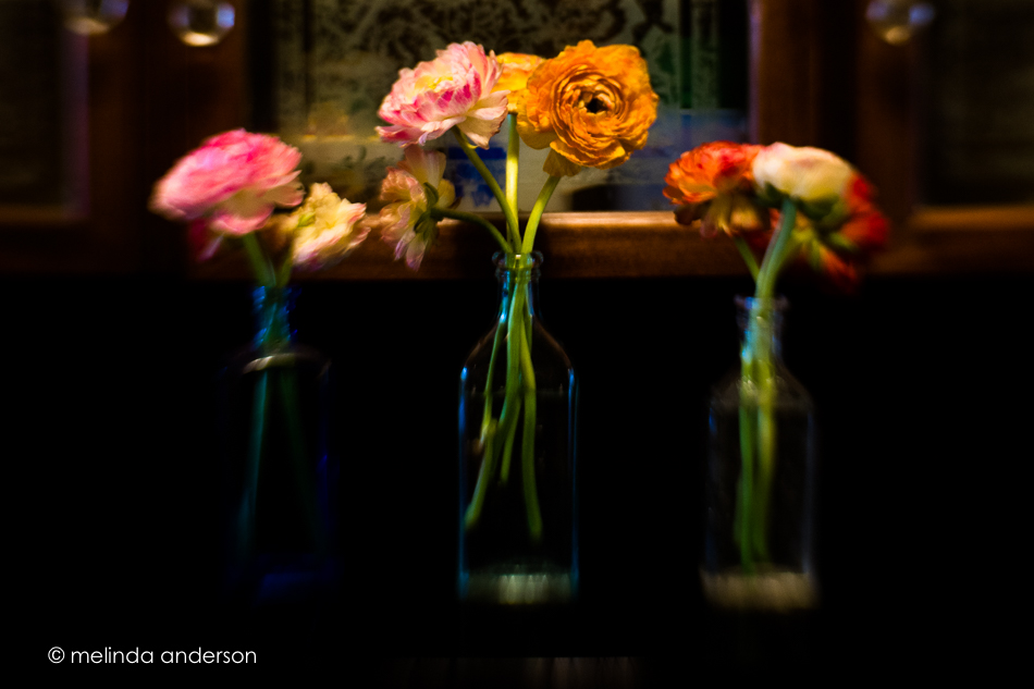 20150509-MMA_5061_melinda_anderson