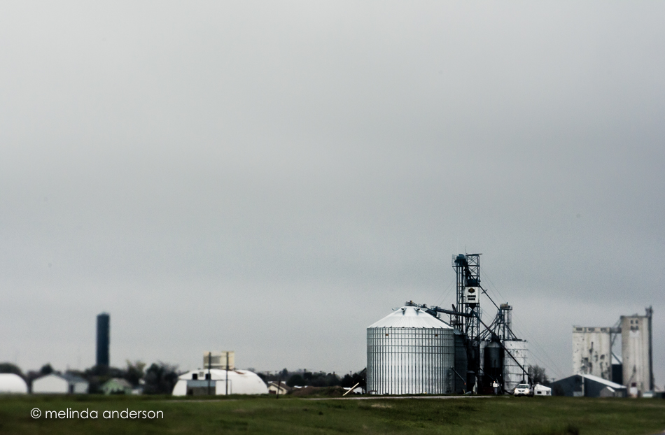 20150523-MMA_5623_melinda_anderson