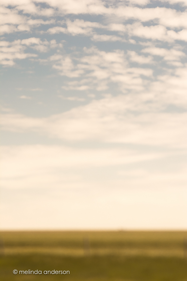 20150529-MMA_6255_melinda_anderson