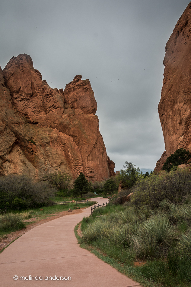 20150530-MMA_6288_melinda_anderson