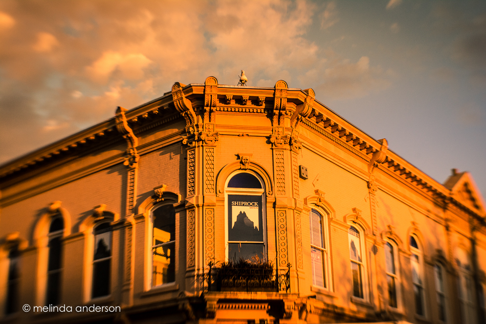 20150530-MMA_6456_melinda_anderson