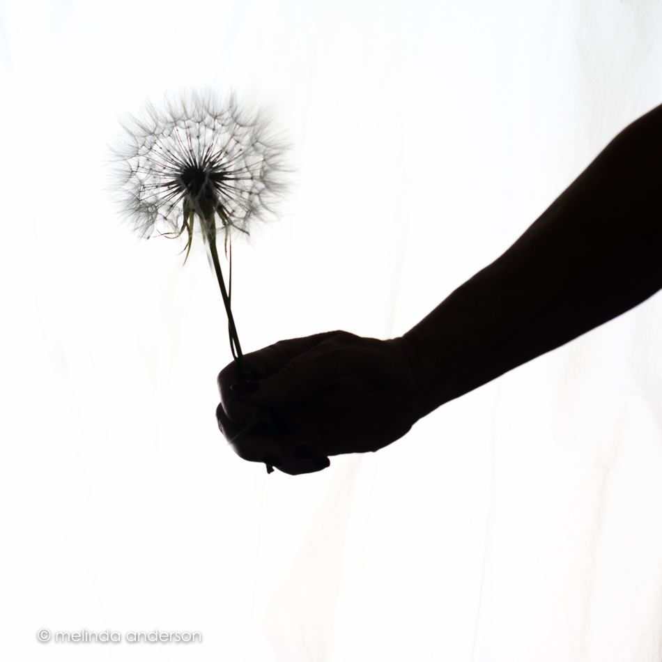 20150606-MMA_7015_melinda_anderson-Edit