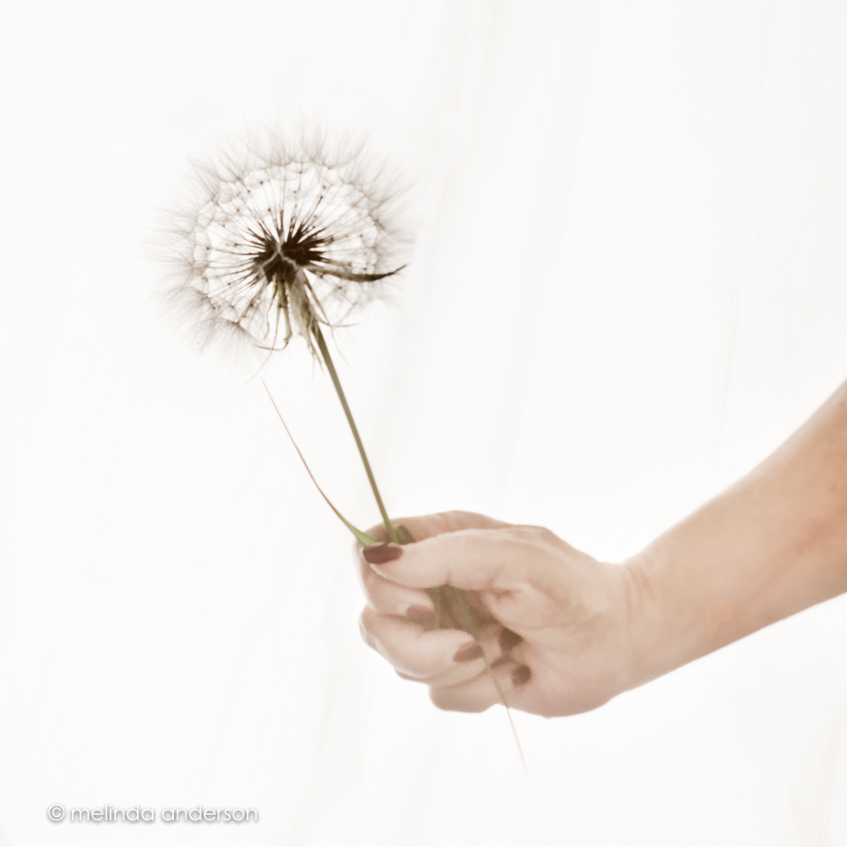 20150606-MMA_7019_melinda_anderson-Edit