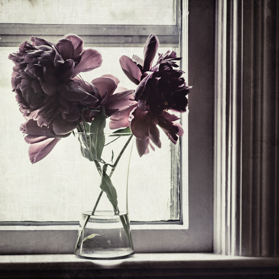 20150625-MMA_7848_melinda_anderson-Edit