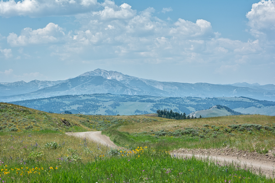 20150628-MMA_8897_melinda_anderson-Edit-Edit