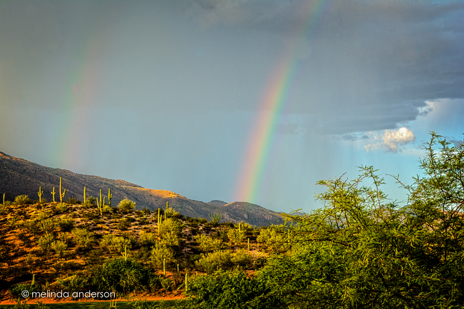 20150708-MMA_9602_melinda_anderson-Edit