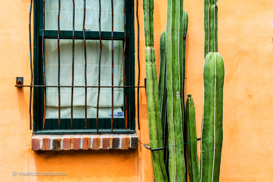 20150709-MMA_0027_melinda_anderson-Edit