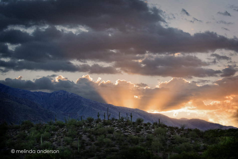 20150710-MMA_0555_melinda_anderson-Edit-Edit-2