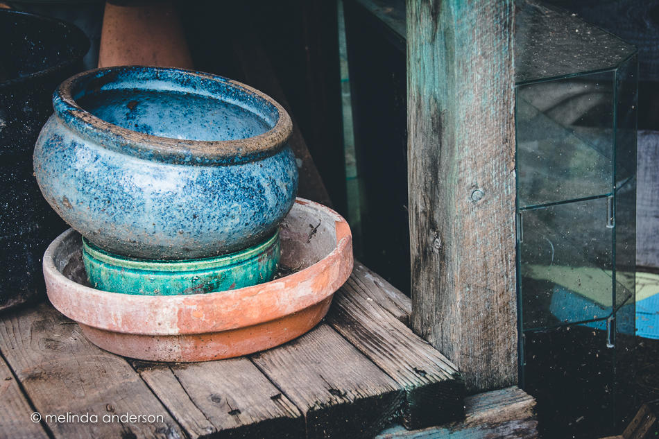 20150728-MMA_1127_melinda_anderson