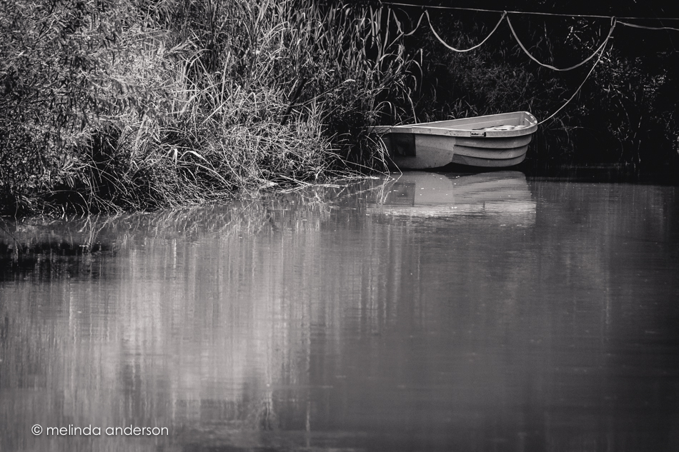 20150728-MMA_1183_melinda_anderson-2