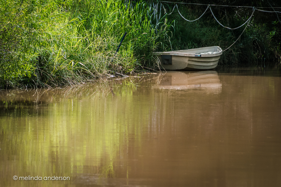 20150728-MMA_1183_melinda_anderson