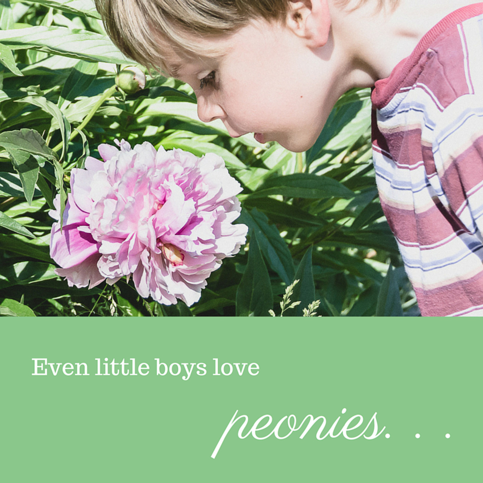 Even little boys love(1)