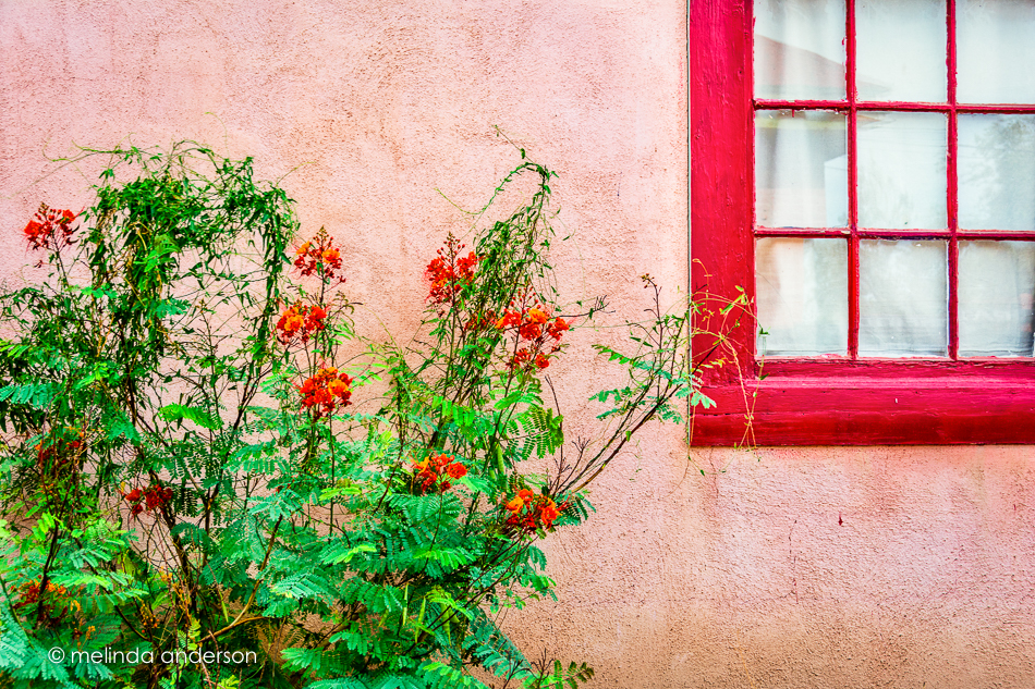 20150709-MMA_9663_melinda_anderson-Edit