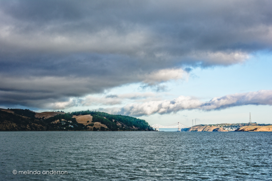 20150805-MMA_1274_melinda_anderson-Edit