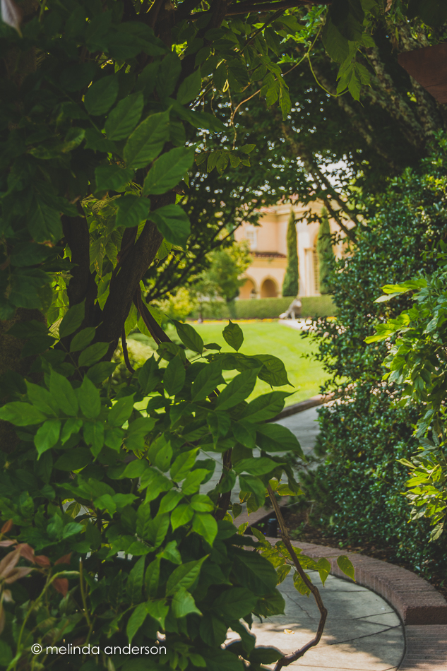 20150805-MMA_1449_melinda_anderson