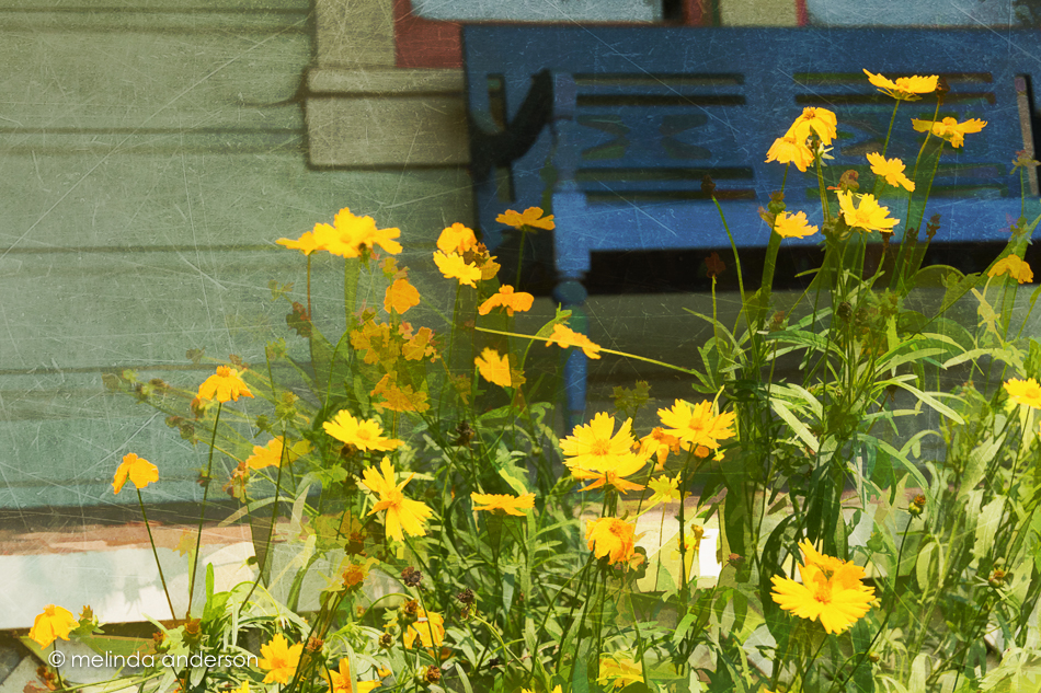 20150805-MMA_1523_melinda_anderson-Edit