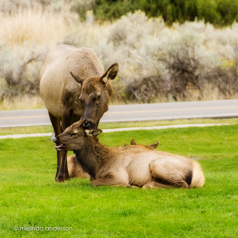 20150917-MMA_2803_melinda_anderson-Edit