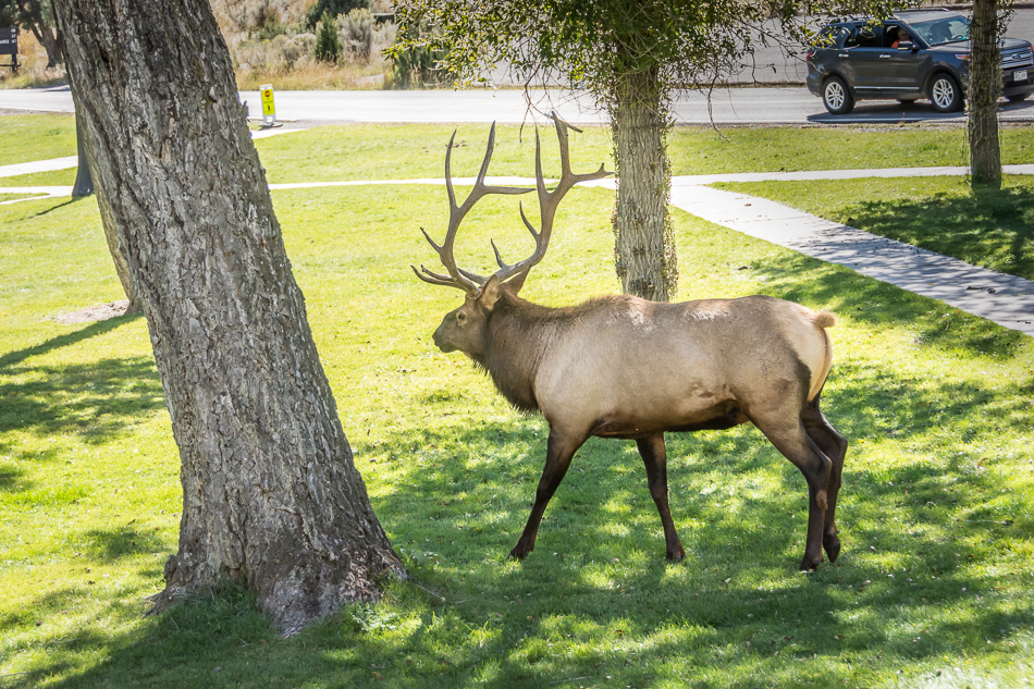 20150920-MMA_3106_melinda_anderson