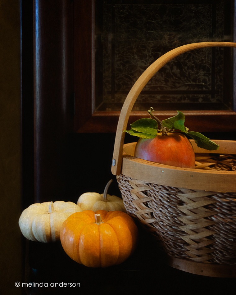 20150924-MMA_3189_melinda_anderson-Edit