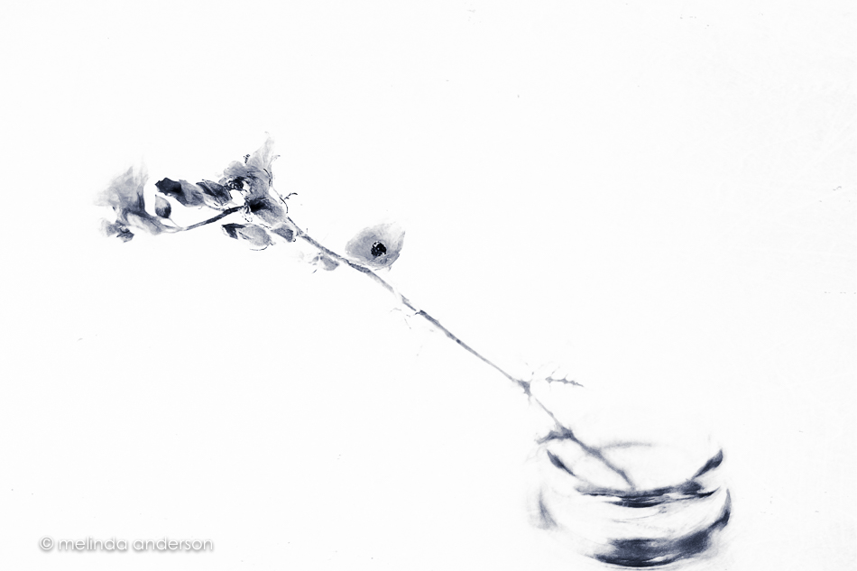 20150504-MMA_4579_melinda_anderson-Edit-2