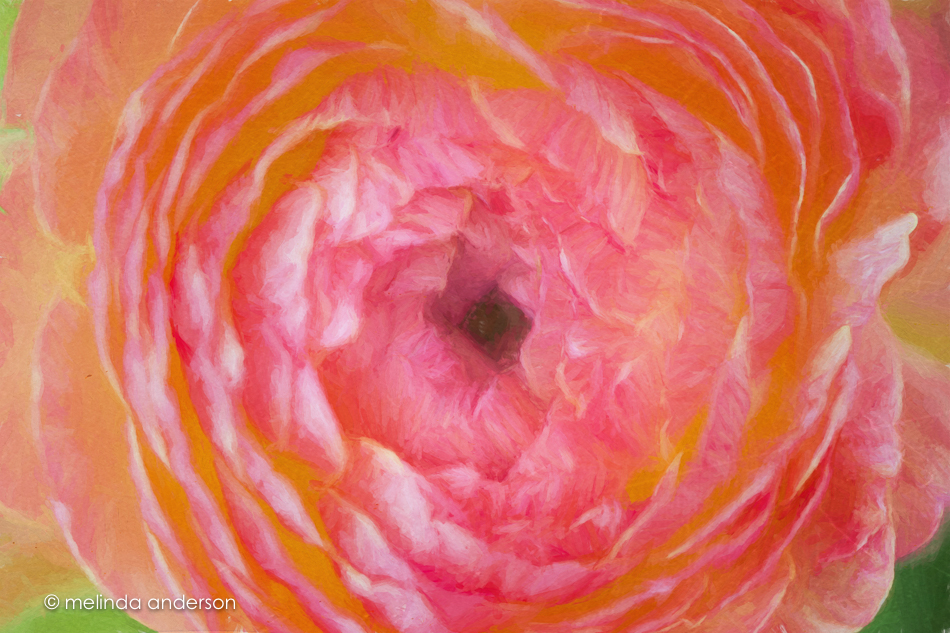 20150507-MMA_4723_melinda_anderson-Edit