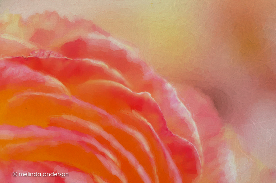 20150507-MMA_4728_melinda_anderson-Edit