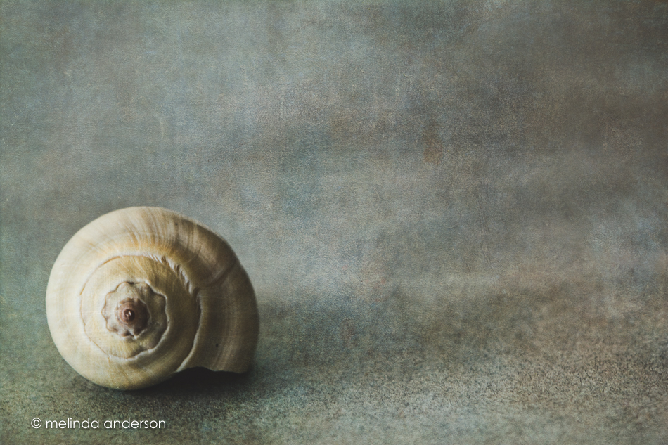 20150904-MMA_2502_melinda_anderson-Edit