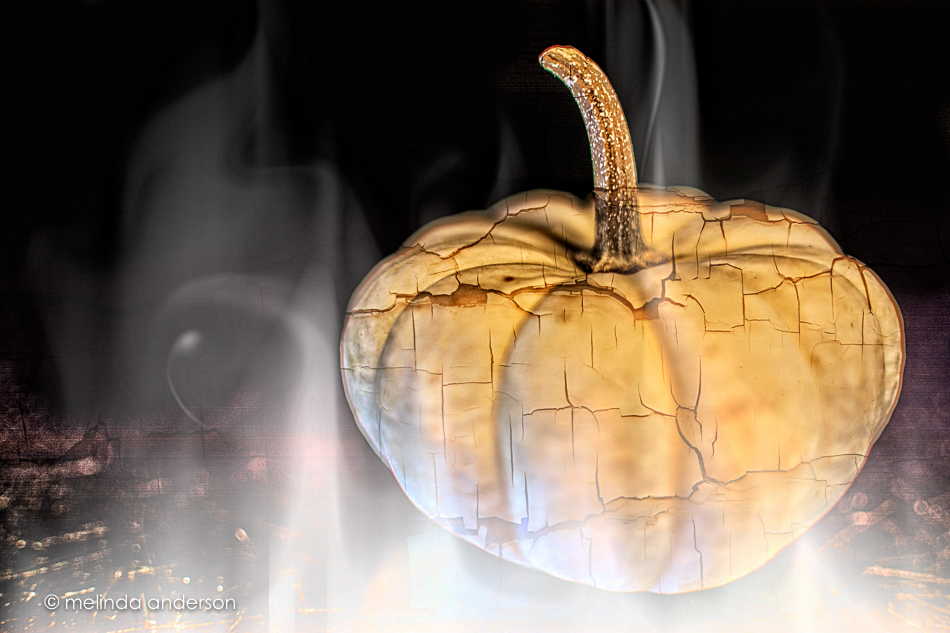 20151002-MMA_3524_melinda_anderson-Edit