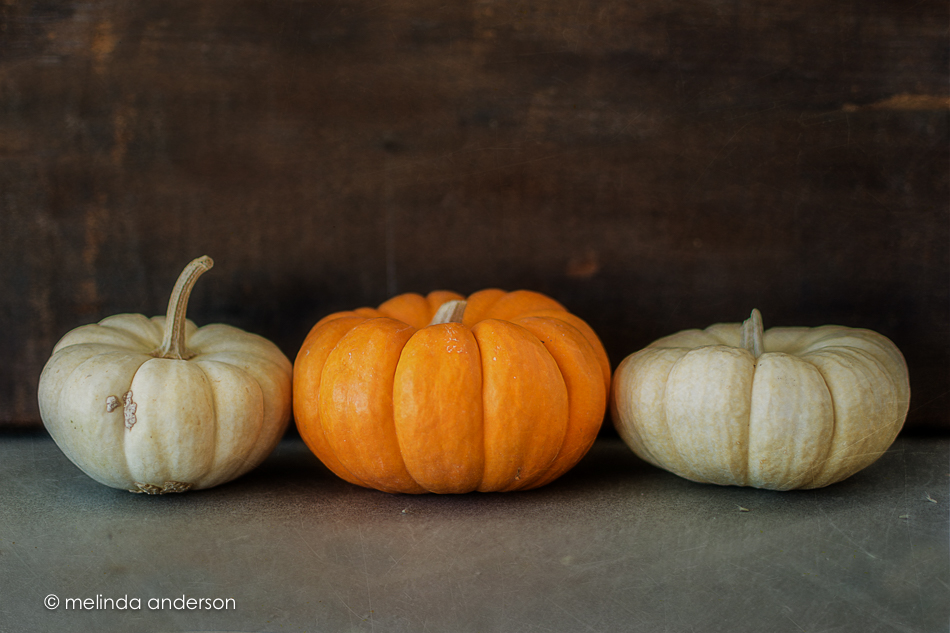 20151002-MMA_3575_melinda_anderson-Edit