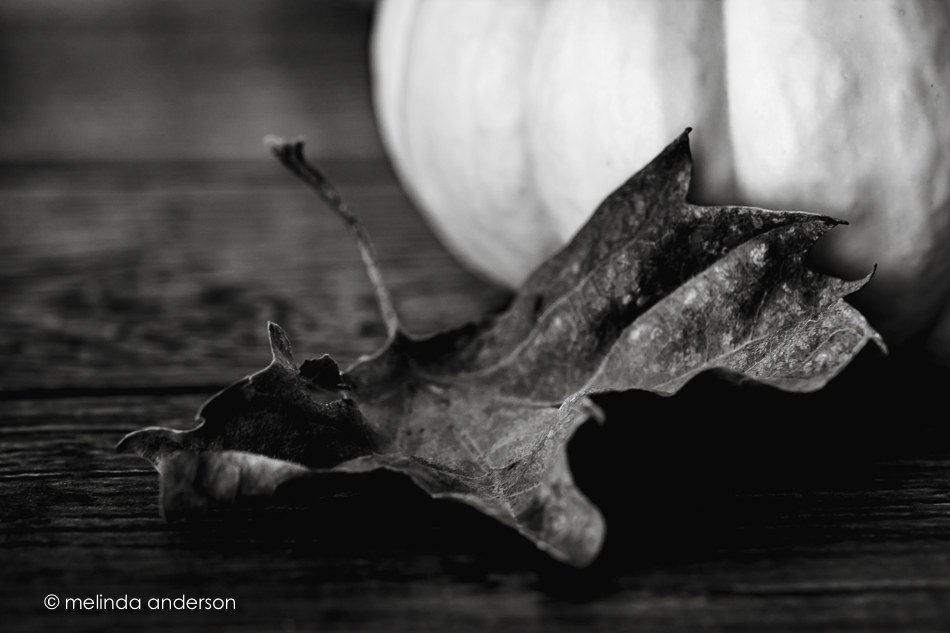 20151013-MMA_3890_melinda_anderson