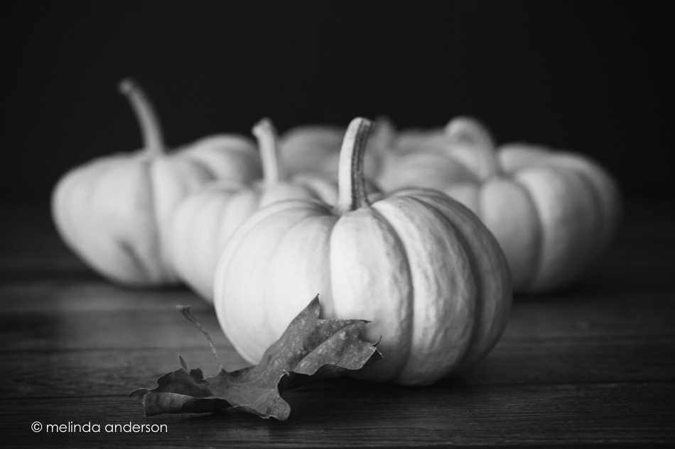 20151013-MMA_3892_melinda_anderson