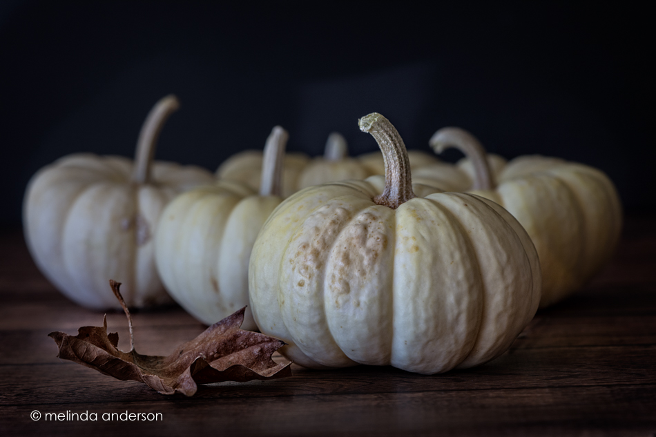 20151013-MMA_3910_melinda_anderson-Edit-Edit