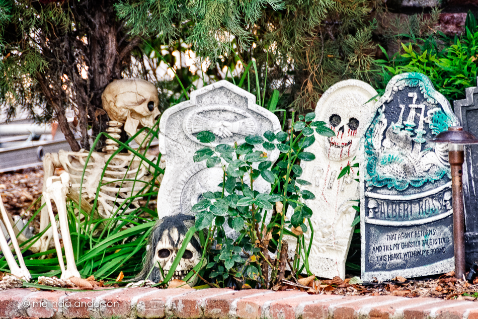 20151026-MMA_4109_melinda_anderson-Edit