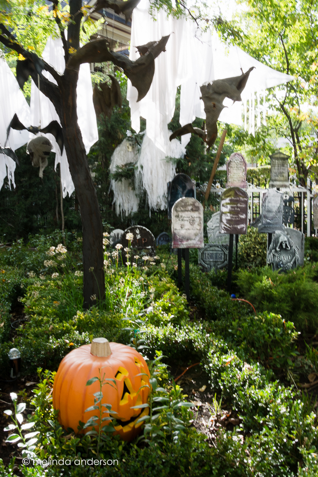 20151026-MMA_4125_melinda_anderson