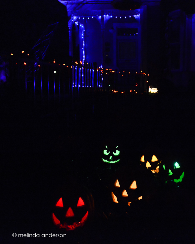 20151029-MMA_4300_melinda_anderson