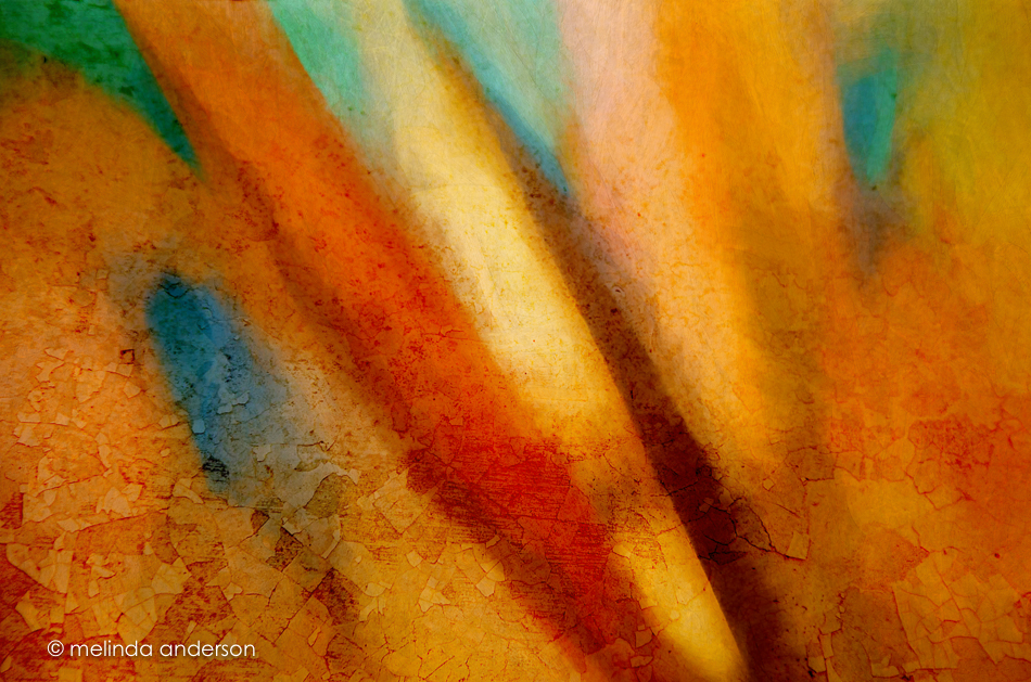 20151026-DSC_2940_melinda_anderson-Edit