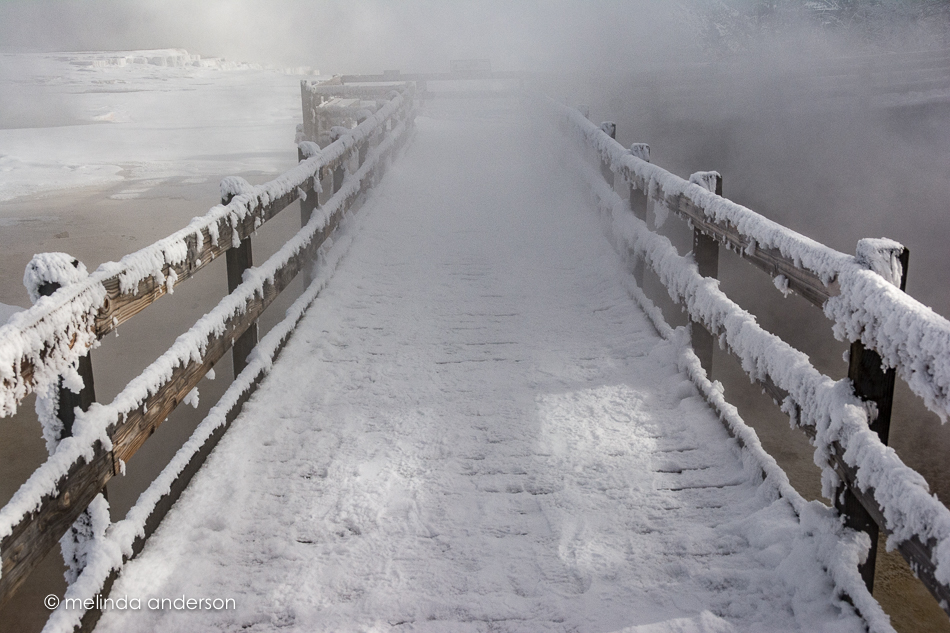 20151128-MMA_6358_melinda_anderson