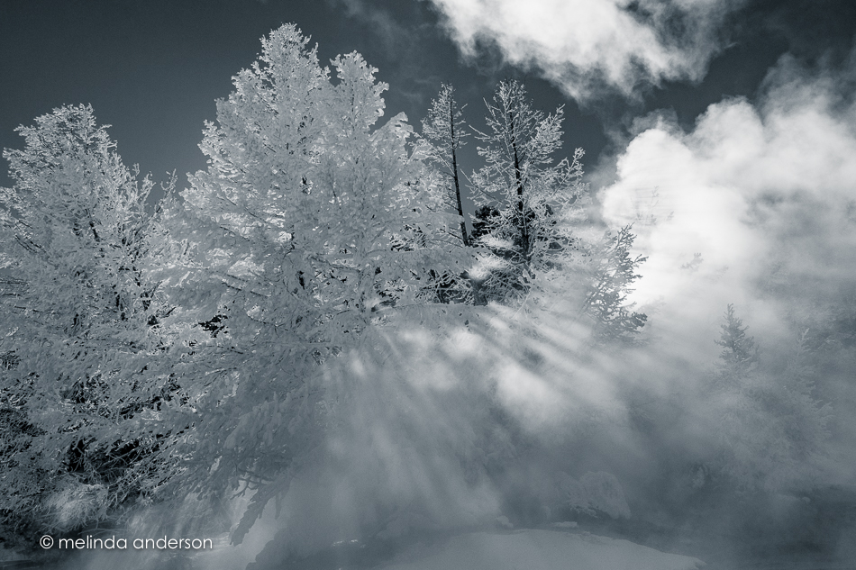 20151128-MMA_6382_melinda_anderson