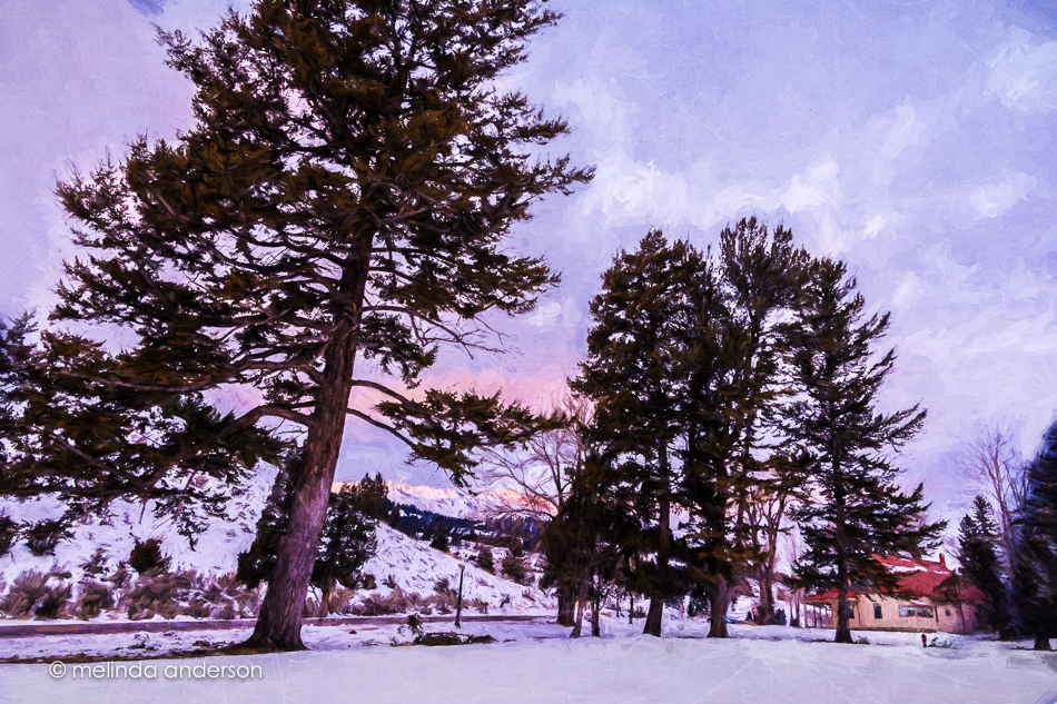 20151124-MMA_5556_melinda_anderson-Edit